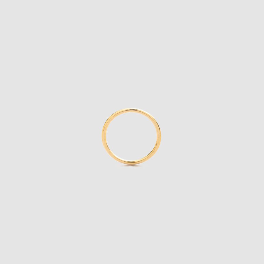 Daily Titanium Ring Gold