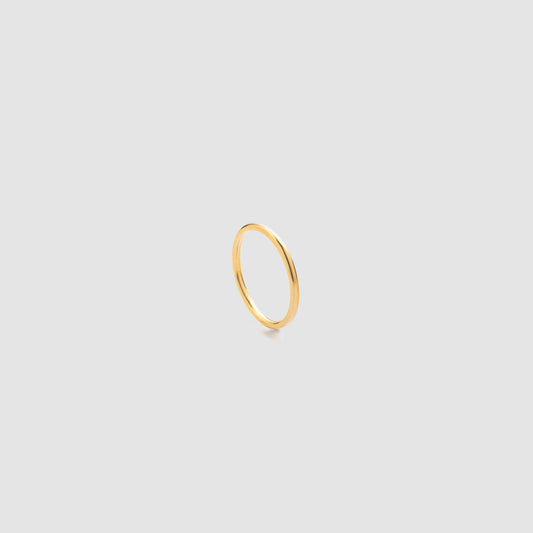 Daily Titanium Ring Gold