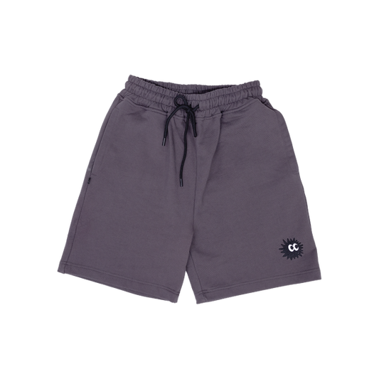 Asphalt Shorts Grey