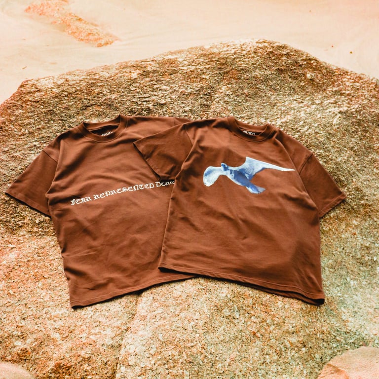 EGYPT ESSENTIAL LOGO BROWN TEE